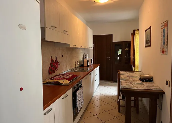 Semesterbostad Hollydom *