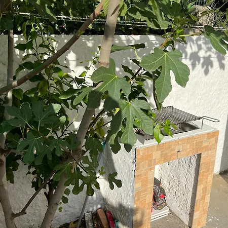 Hollydom Ferienhaus *